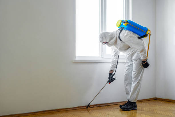 Best Commercial Pest Control Services  in Rainbow Lakes, NJ