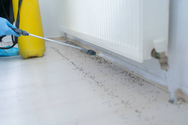 Best Pest Control Treatment  in Rainbow Lakes, NJ