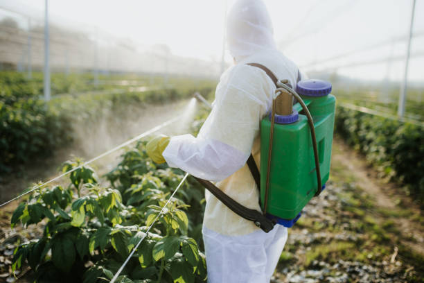 Best Cockroach Control Services  in Rainbow Lakes, NJ